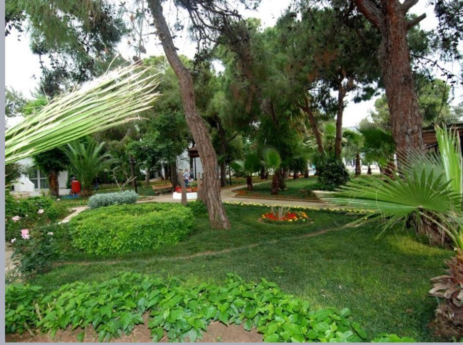 Luca Beach Hotel Side Dış mekan fotoğraf